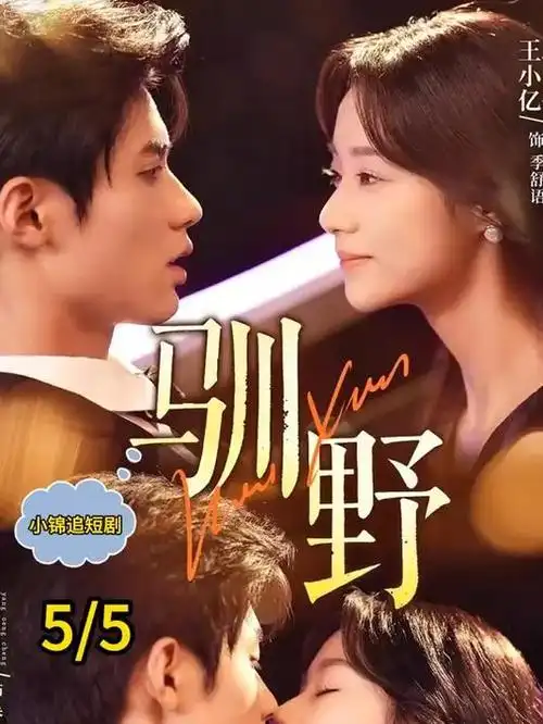 城中之城热播电视剧全集在线观看